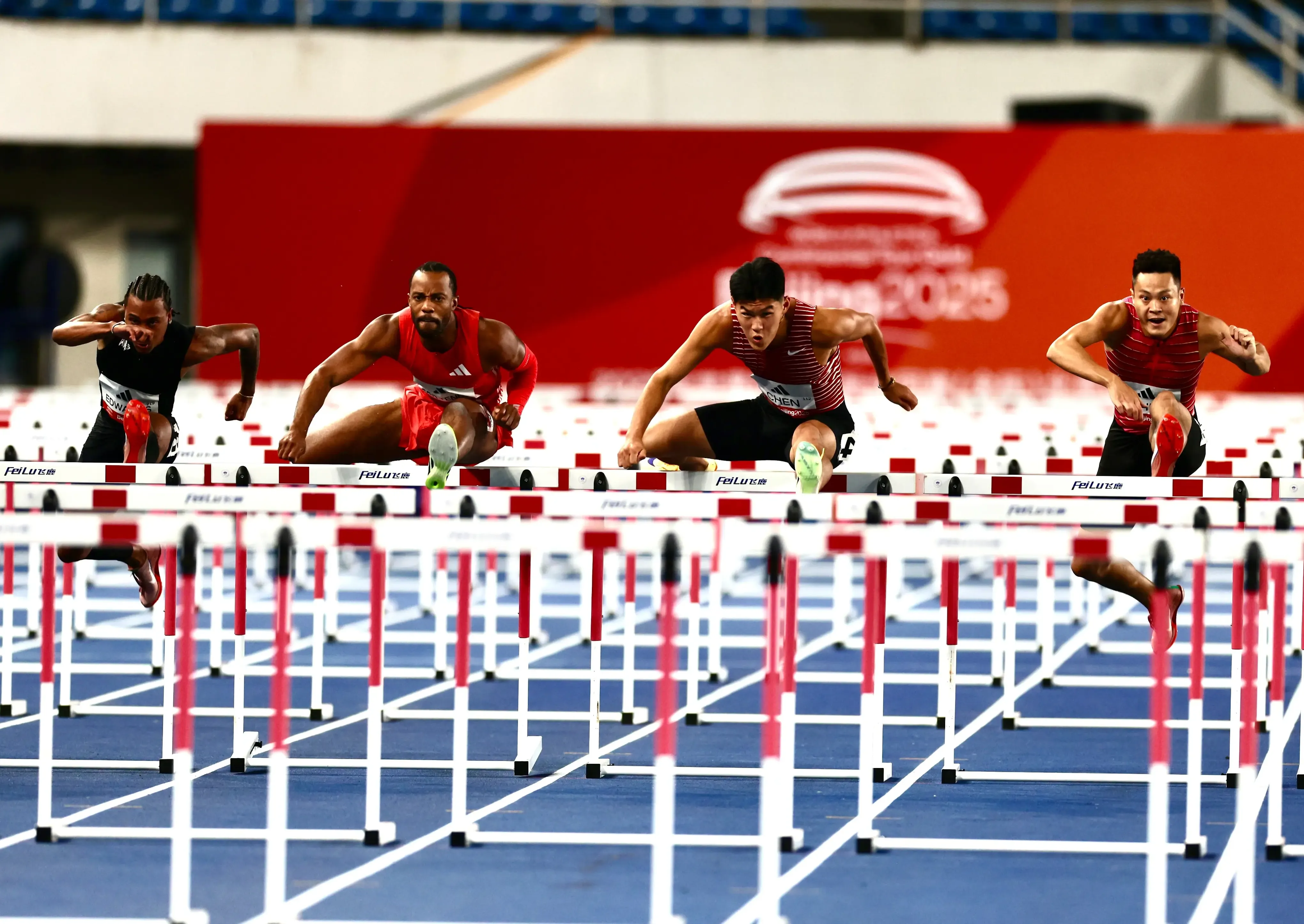 金标, 米的成绩获 金标, 米的成绩获