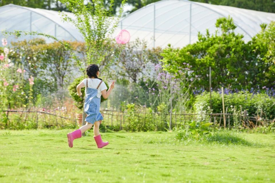 非遗产品的, RVL, 开放时间 非遗产品的, RVL, 开放时间