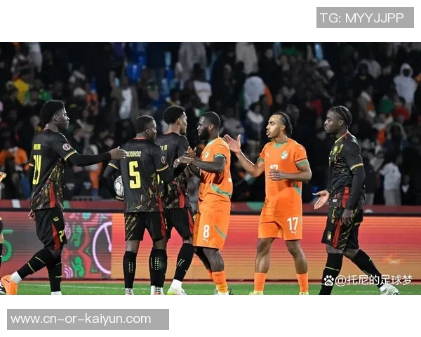非洲杯精彩对决尼日利亚与喀麦隆赛前分析与战术展望